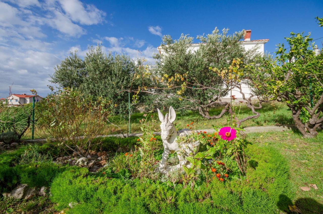 Apartments Marijana Банёл Экстерьер фото